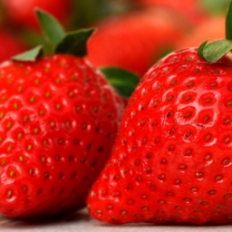 The Secret of Strawberries The Beauty Berry